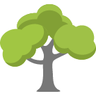 Chesterfield Tree Removal