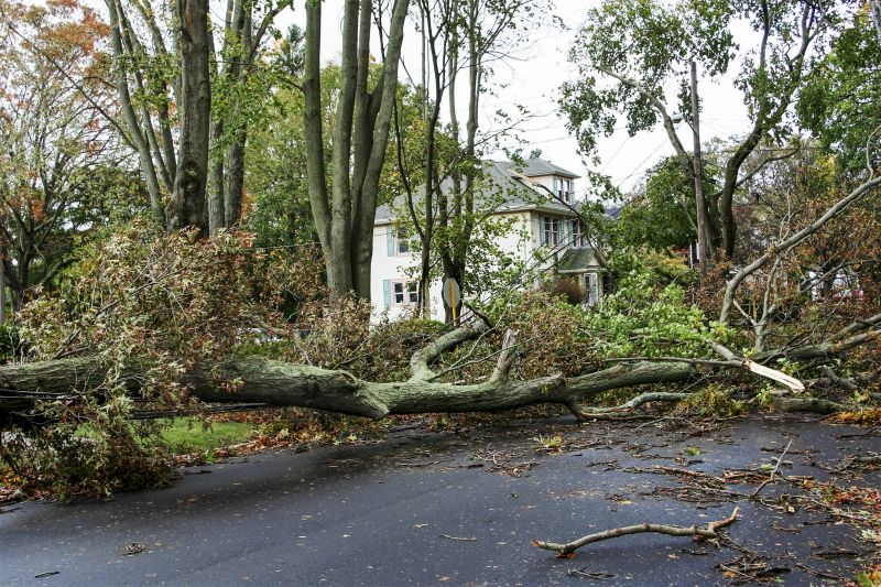 Storm Damage Site